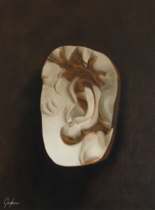 Cast Painting of Michelangelo's David's Ear