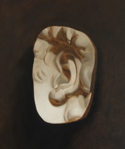 Cast Painting of David's Ear