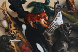 Detailed Toy Animal Painting